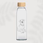 Glass & Bamboo Water Bottle Gift – 500ml Reusable Bottle