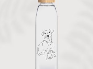 Glass & Bamboo Water Bottle Gift – 500ml Reusable Bottle