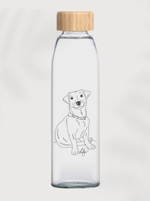 Glass & Bamboo Water Bottle Gift – 500ml Reusable Bottle