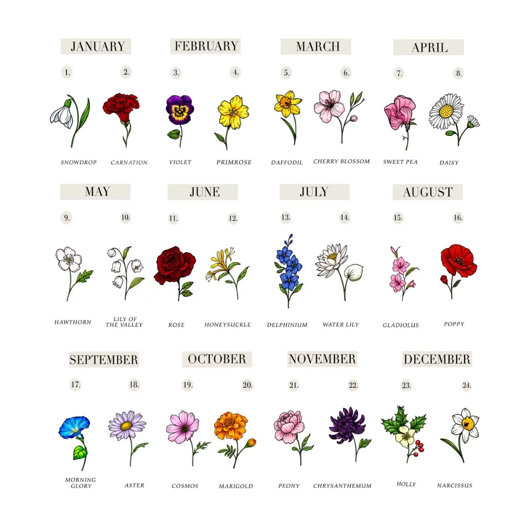 Colour Deconstructed Birth Flower Poster – Gift for Mom or Grandma - Image 6